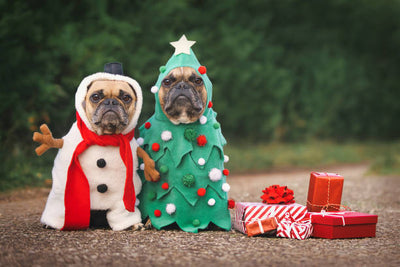 New Arrivals: Festive Christmas Costumes for Your Furry Friends!