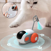 Remote-Controlled Cat Toy Car