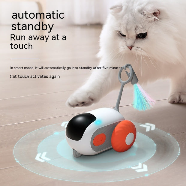 Remote-Controlled Cat Toy Car