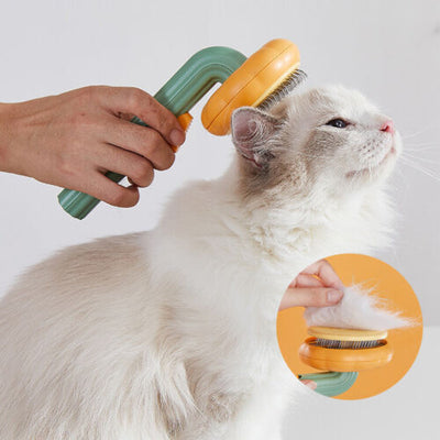 Self-Cleaning Pet Pumpkin Brush