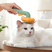 Self-Cleaning Pet Pumpkin Brush