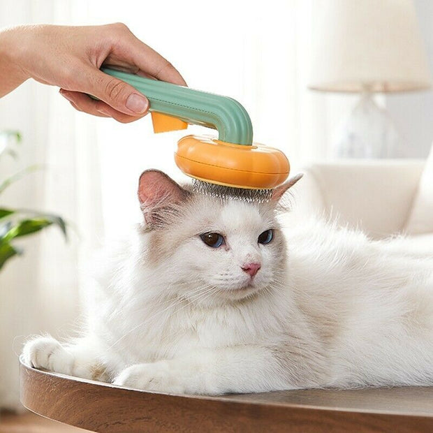 Self-Cleaning Pet Pumpkin Brush