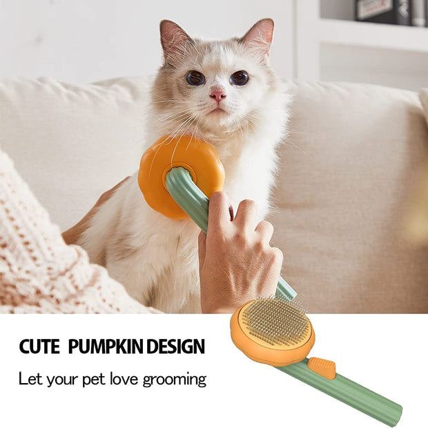 Self-Cleaning Pet Pumpkin Brush