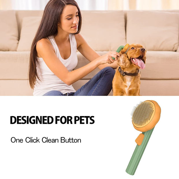 Self-Cleaning Pet Pumpkin Brush