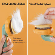 Self-Cleaning Pet Pumpkin Brush