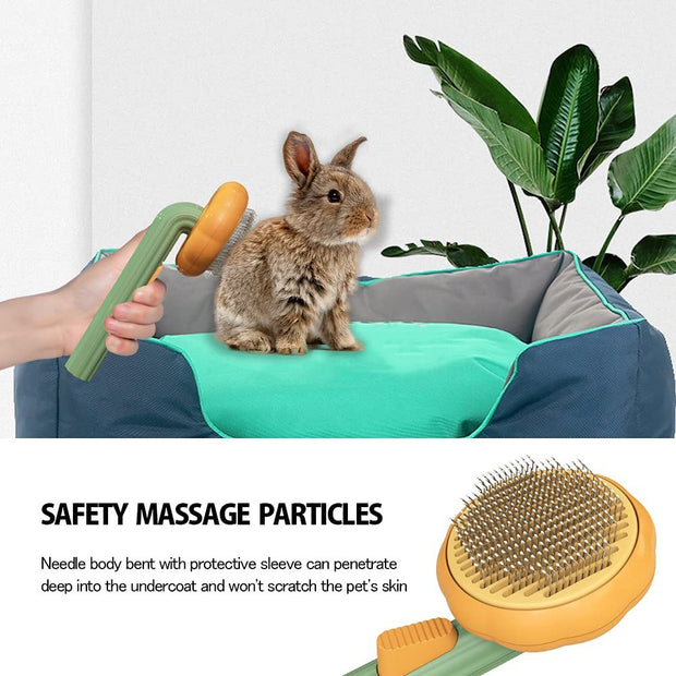 Self-Cleaning Pet Pumpkin Brush