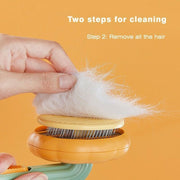 Self-Cleaning Pet Pumpkin Brush