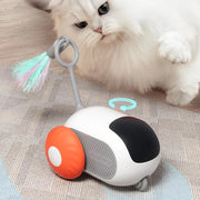 Remote-Controlled Cat Toy Car