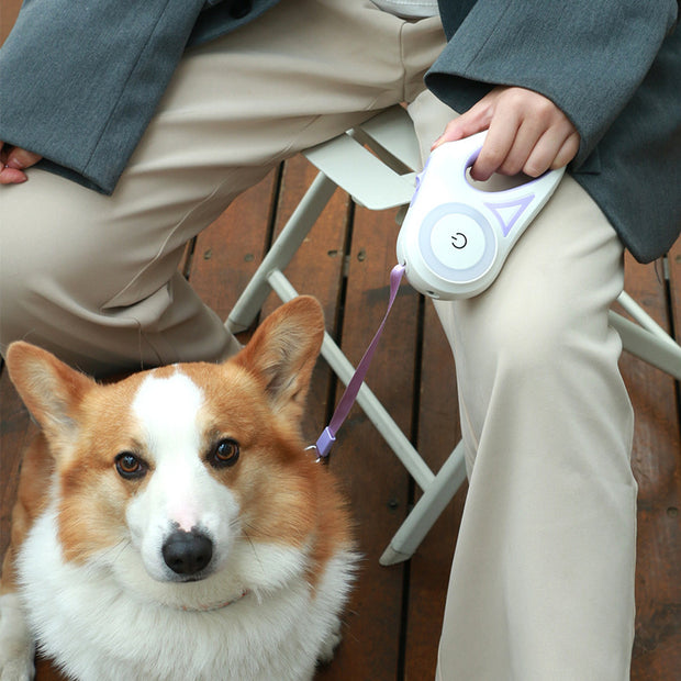 Retractable Dog Leash &amp; Collar