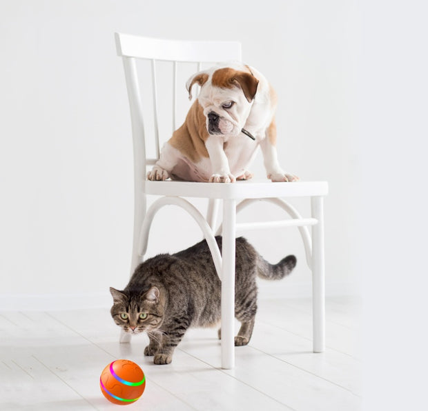 Self-Rotating Cat Toy Ball