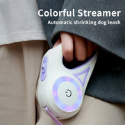 Retractable Dog Leash &amp; Collar