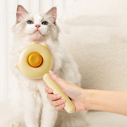 Hair Removal Pet Brush