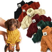 Cozy Dog Turtleneck Sweater